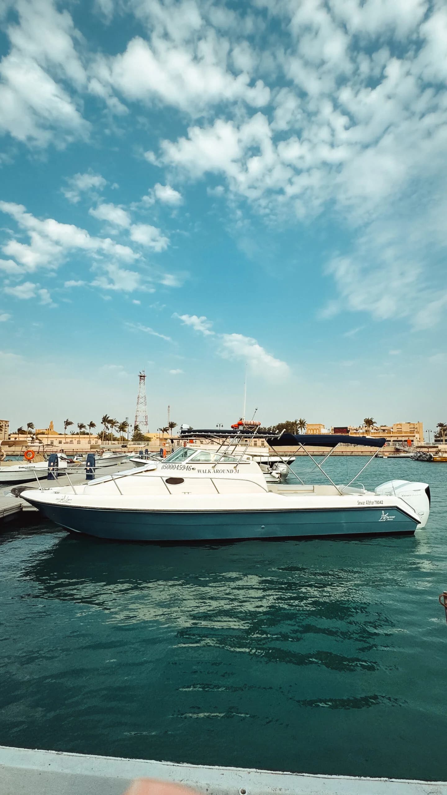 مشاهدة الدلافين في ثول في عطلة نهاية الأسبوع: رحلة صباحية مع سوار البحرية في ثول على البحر الأحمر